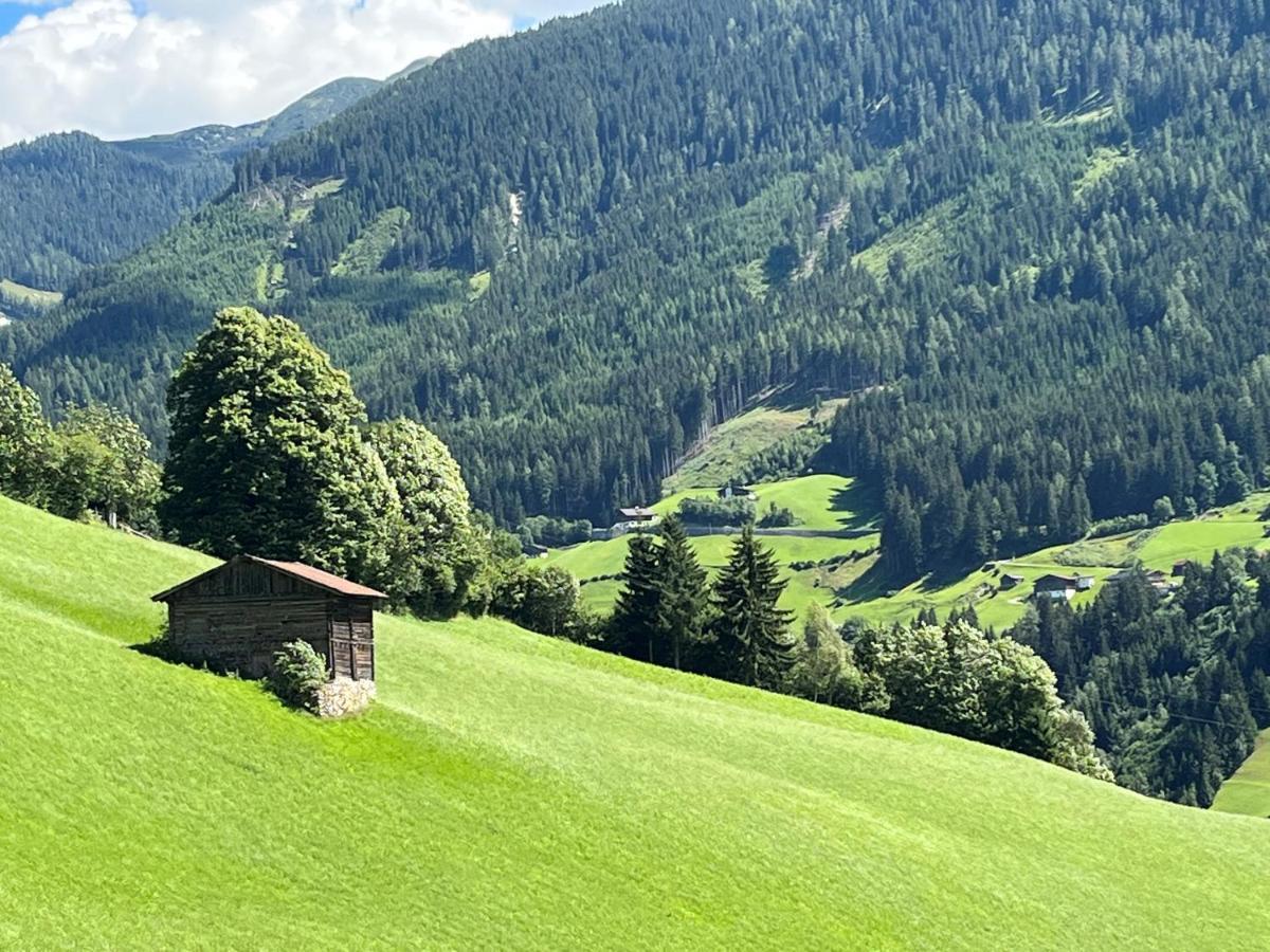 Landhaus Hoellwarth Zell am Ziller Exteriör bild